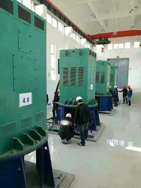 Y7109-4某污水处理厂使用我厂的立式高压电机安装现场